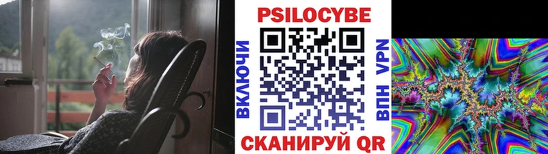 Галлюциногенные грибы Psilocybe  мега зеркало  Ангарск  закладки 