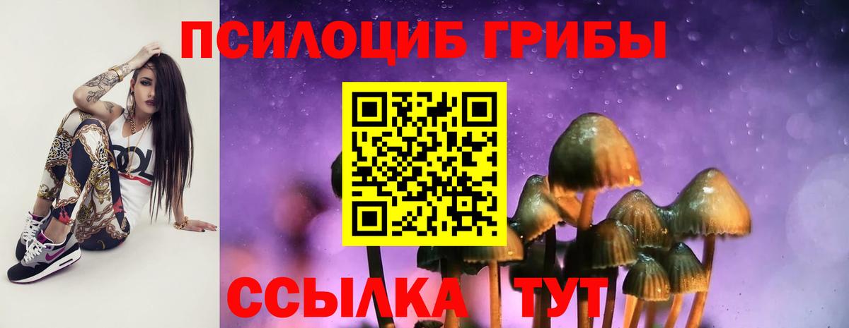 Ангарск  купить   Галлюциногенные грибы мицелий  Вход с VPN  Псилоцибиновые грибы Psilocybine cubensis 